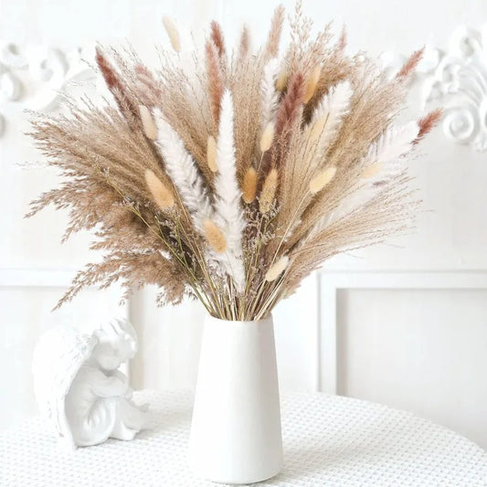 Dried Flowers Bouquet Pampas Reeds
