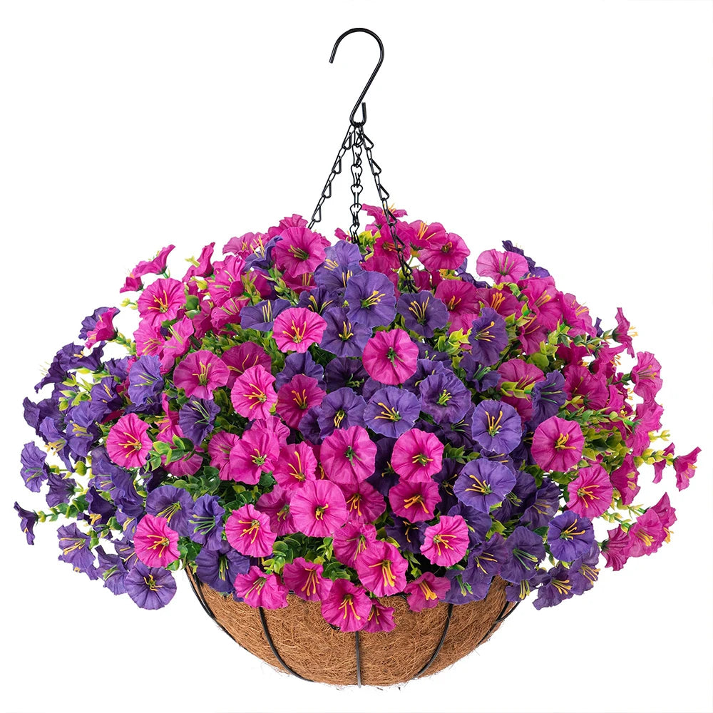 Hanging Morning Glory Basket