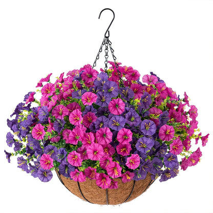 Hanging Morning Glory Basket