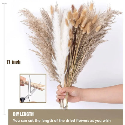 Dried Flowers Bouquet Pampas Reeds