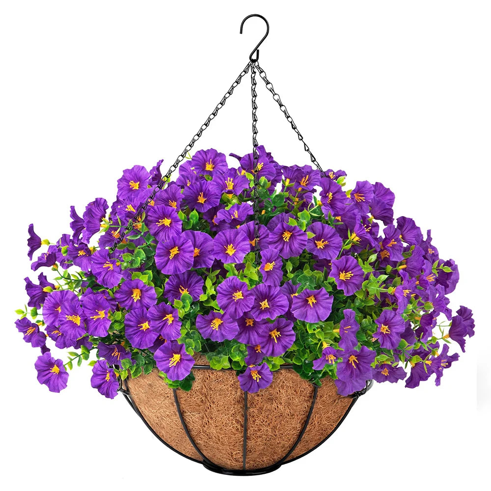 Hanging Morning Glory Basket
