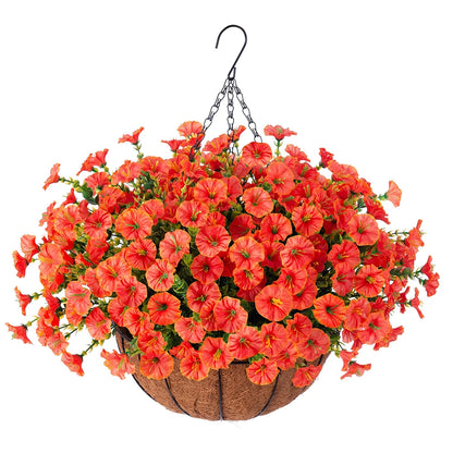 Hanging Morning Glory Basket