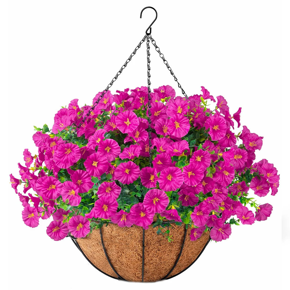 Hanging Morning Glory Basket