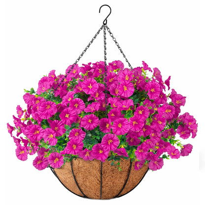 Hanging Morning Glory Basket