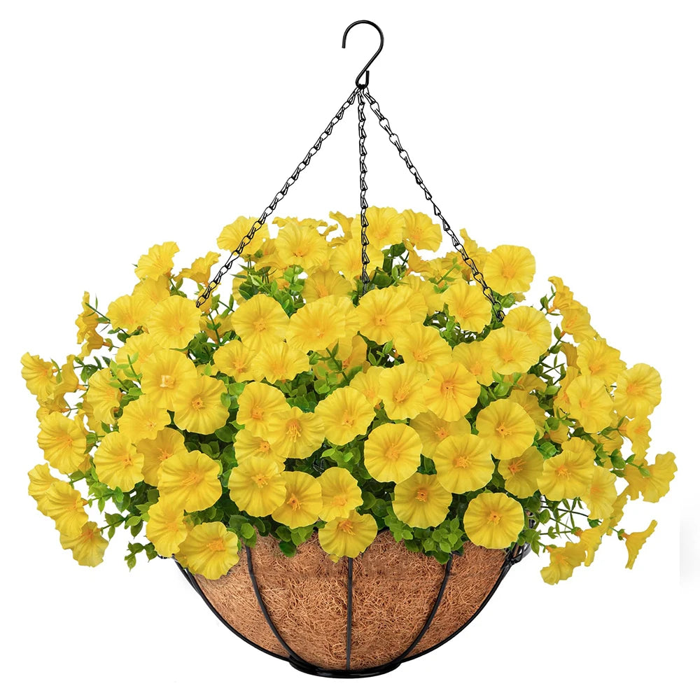 Hanging Morning Glory Basket