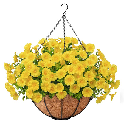Hanging Morning Glory Basket